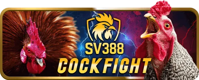 Hướng dẫn đăng nhập FCB8 nhanh chóng và an toàn